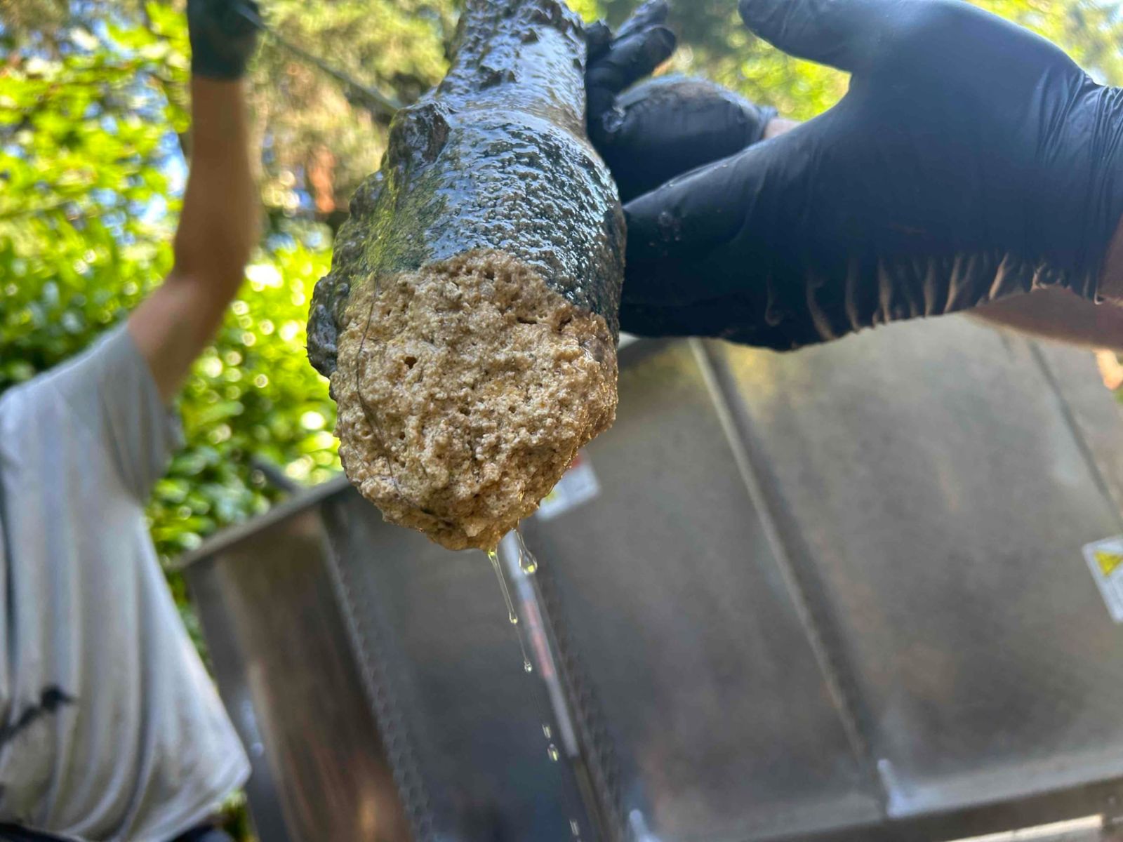 Septic Pumping in East Portland, OR
